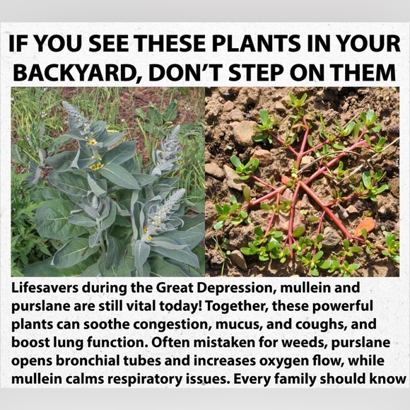 - #7 Follow Game 🐾🐶 - Picture 12 of 16